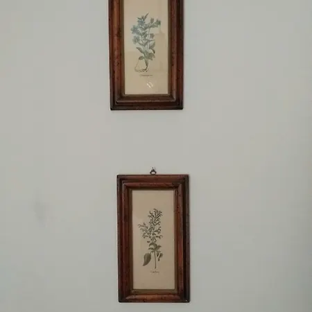 Casa Sul Tetto A