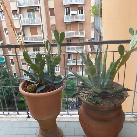 Casa Sul Tetto A